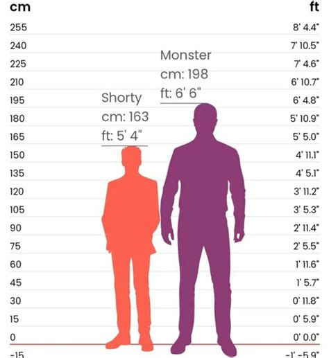 5ft3 in cm|how tall is 5ft.